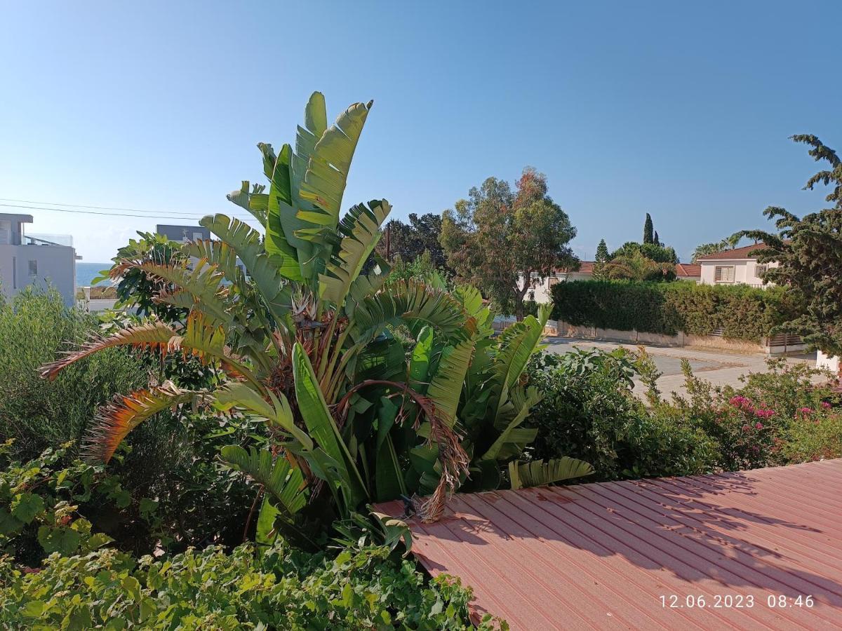Ferienhaus_Familykrausz Перволия Екстериор снимка